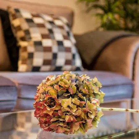 Modernism And Comfort In A Strategic Location Lejlighed Barcelona