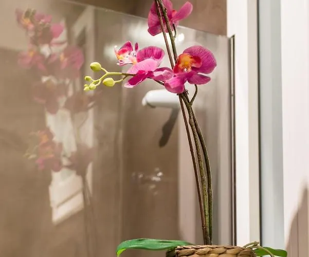 Апартаменты Modernism And Comfort In A Strategic Location